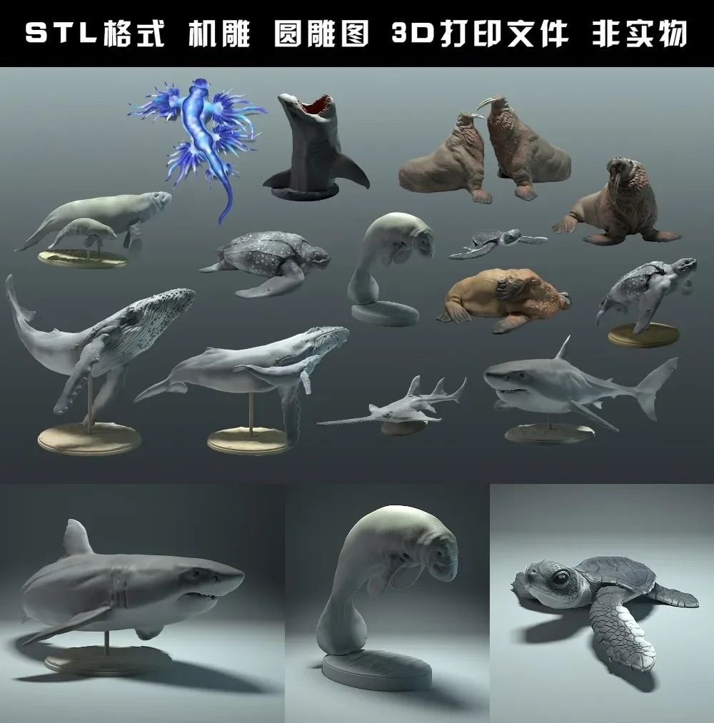 animals, polar bear, takin, wo - 3D Printing Rabbit 评论和价格